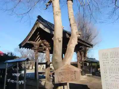 血方神社の自然