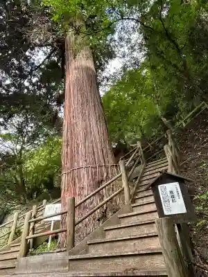八女津媛神社(福岡県)