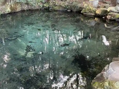 泉神社(茨城県)