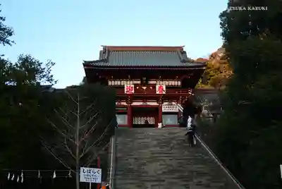 鶴岡八幡宮(神奈川県)