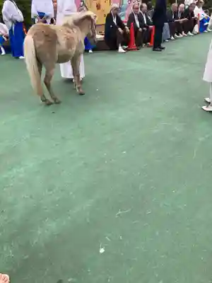 平塚八幡宮(神奈川県)