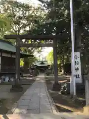 小杉神社の鳥居