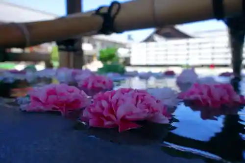 豊川閣　妙厳寺の手水舎