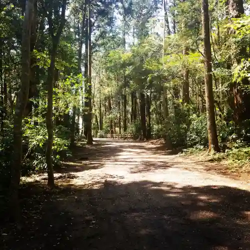 鹿島神宮の自然