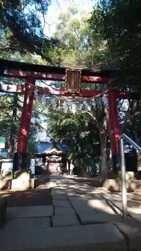 氷川女體神社の鳥居