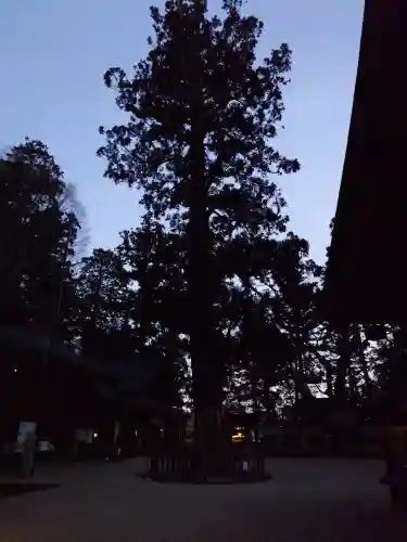 穂高神社本宮(長野県)