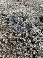 大鏑神社(福島県)