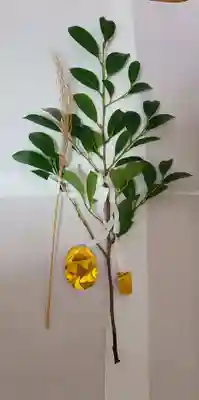 出雲大社倉敷教会(岡山県)