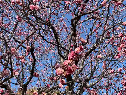 正一位霊験稲荷社の自然