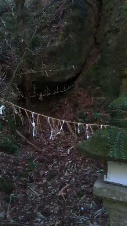 室山熊野神社の自然