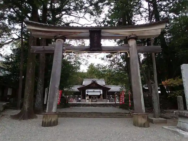 土佐神社の鳥居