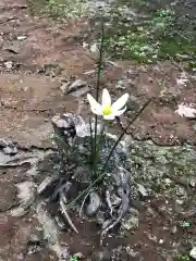 木舟山　順教寺の自然