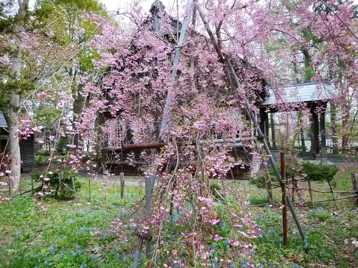 錦山天満宮の自然