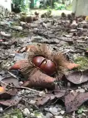 木舟山　順教寺の自然