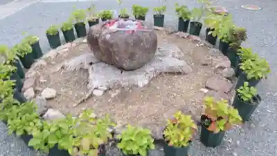 柳谷観音　楊谷寺(京都府)