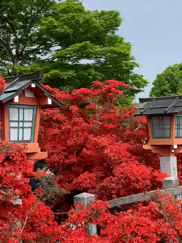 長岡天満宮の庭園