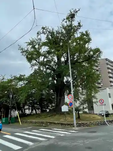 津島神社の自然