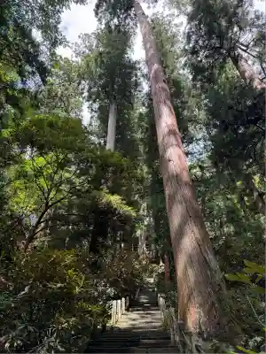 室生寺奥の院(奈良県)