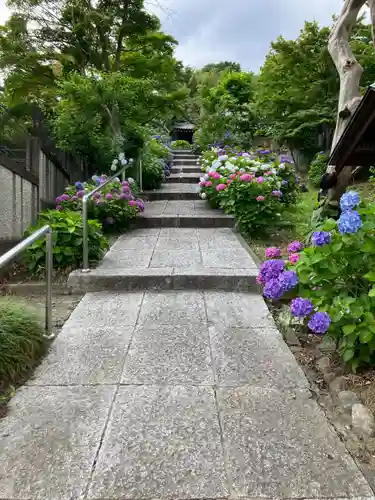 妙覚寺(東京都)
