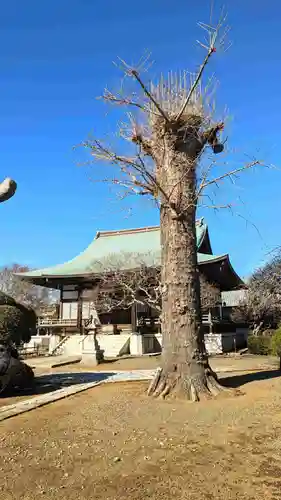 長妙寺の本殿・本堂