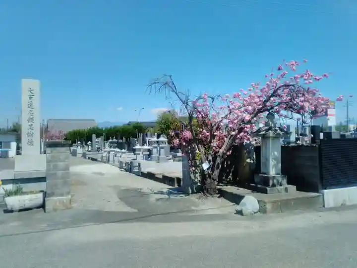 遠妙寺の山門・神門
