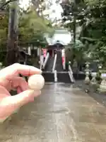 大頭龍神社(静岡県)