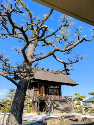 岡南神社の{uncategorized: "未分類", other: "その他", undefined: "問題あり", building: "その他建物", grave: "お墓", sacred_gate: "鳥居", guardian: "狛犬", statue: "像", buddha: "仏像", history: "歴史", nature: "自然", garden: "庭園", animal: "動物", pagoda: "塔", temizu: "手水舎", mountain_gate: "山門・神門", sanctuary: "本殿・本堂", subordinate: "末社・摂社", art: "芸術", scenery: "景色", jizo: "地蔵", ema: "絵馬", goshuin: "御朱印", omikuji: "おみくじ", items: "授与品その他", amulet: "お守り", goshuincho: "御朱印帳", eats: "食事", festival: "お祭り", votive_dance: "神楽", shichigosan: "七五三参", wedding: "結婚式", experience: "体験その他", initially: "初詣", around: "周辺", anti_infection: "感染症対策"}