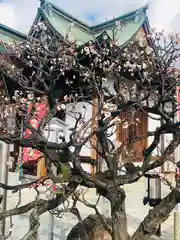 総持寺の自然