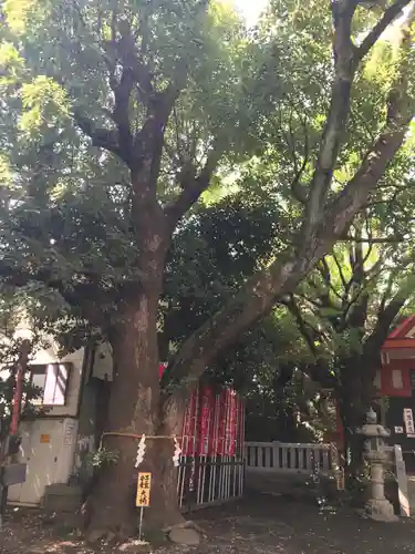 笠䅣稲荷神社の自然