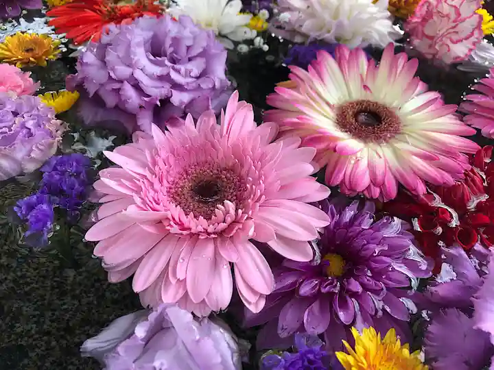 春日神社の手水舎