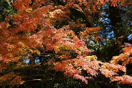 子安観音(山口県)