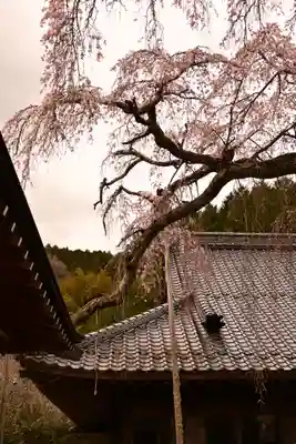 法蓮寺(愛媛県)