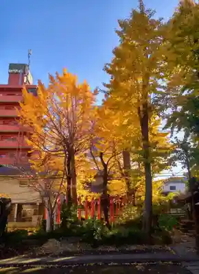 若宮八幡宮 (神奈川県)