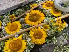 札幌護國神社(北海道)