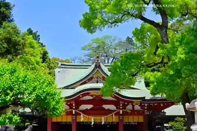 越ヶ谷久伊豆神社(埼玉県)