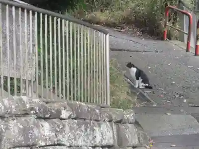六代山不動院(神奈川県)