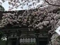園城寺(三井寺)の自然