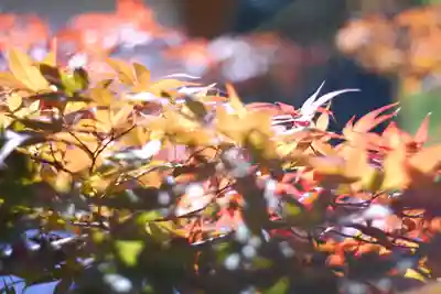 龍田大社(奈良県)
