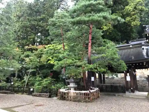 櫻山八幡宮の手水