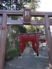 亀ケ池八幡宮の鳥居