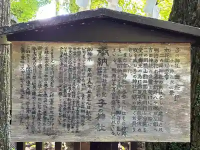 子之神社(静岡県)
