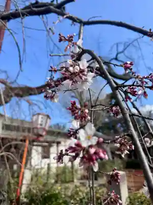 長建寺の{uncategorized: "未分類", other: "その他", undefined: "問題あり", building: "その他建物", grave: "お墓", sacred_gate: "鳥居", guardian: "狛犬", statue: "像", buddha: "仏像", history: "歴史", nature: "自然", garden: "庭園", animal: "動物", pagoda: "塔", temizu: "手水舎", mountain_gate: "山門・神門", sanctuary: "本殿・本堂", subordinate: "末社・摂社", art: "芸術", scenery: "景色", jizo: "地蔵", ema: "絵馬", goshuin: "御朱印", omikuji: "おみくじ", items: "授与品その他", amulet: "お守り", goshuincho: "御朱印帳", eats: "食事", festival: "お祭り", votive_dance: "神楽", shichigosan: "七五三参", wedding: "結婚式", experience: "体験その他", initially: "初詣", around: "周辺", anti_infection: "感染症対策"}
