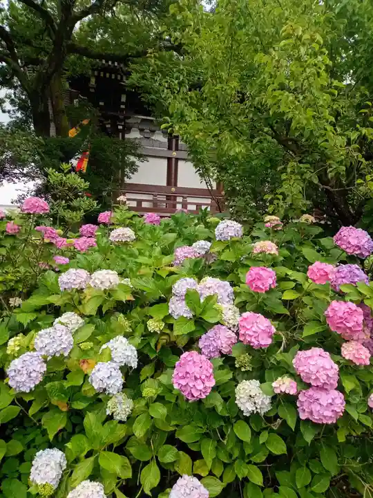 智積院(京都府)