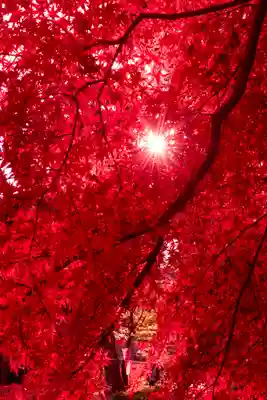 大原野神社(京都府)