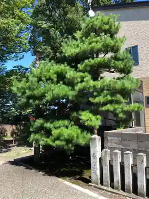 久保市乙剣宮のその他建物