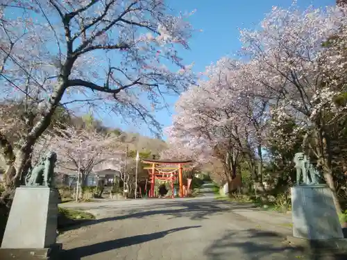 虻田神社の狛犬