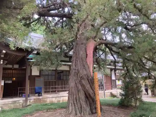円覚寺(神奈川県)