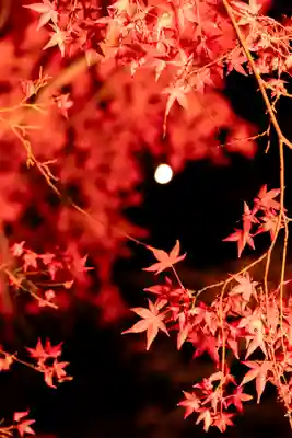 北野天満宮(京都府)