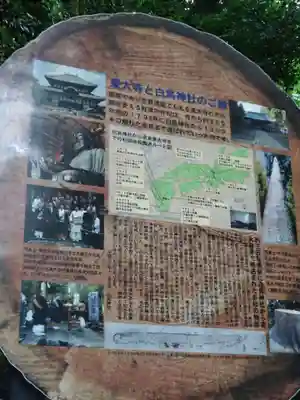 白鳥神社(宮崎県)