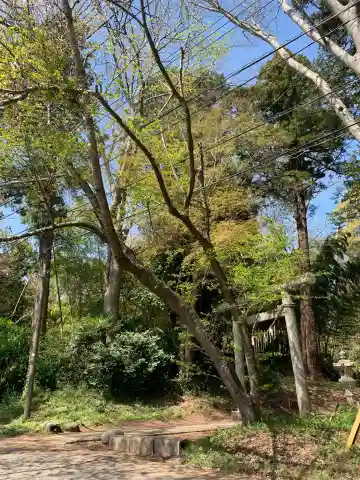 皇神社(千葉県)